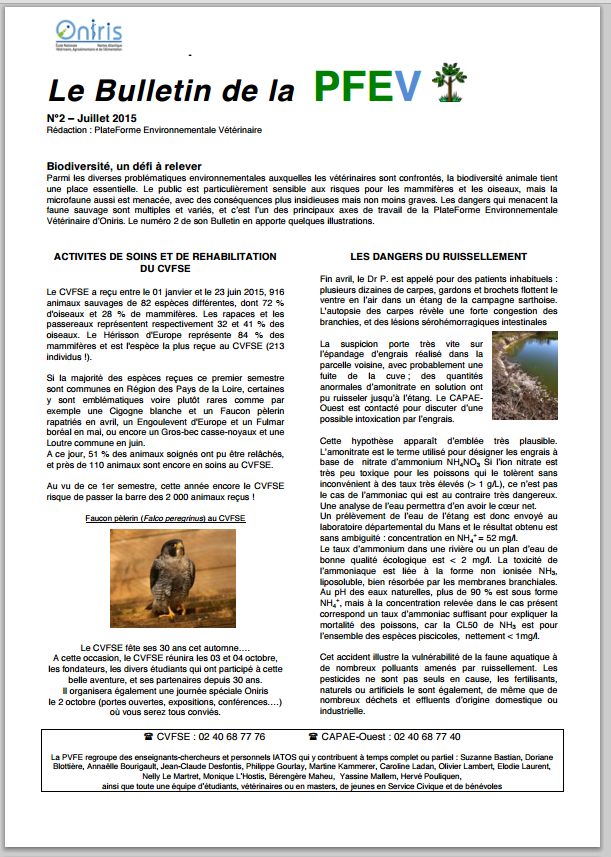 Bulletin n°2 - Juillet 2015